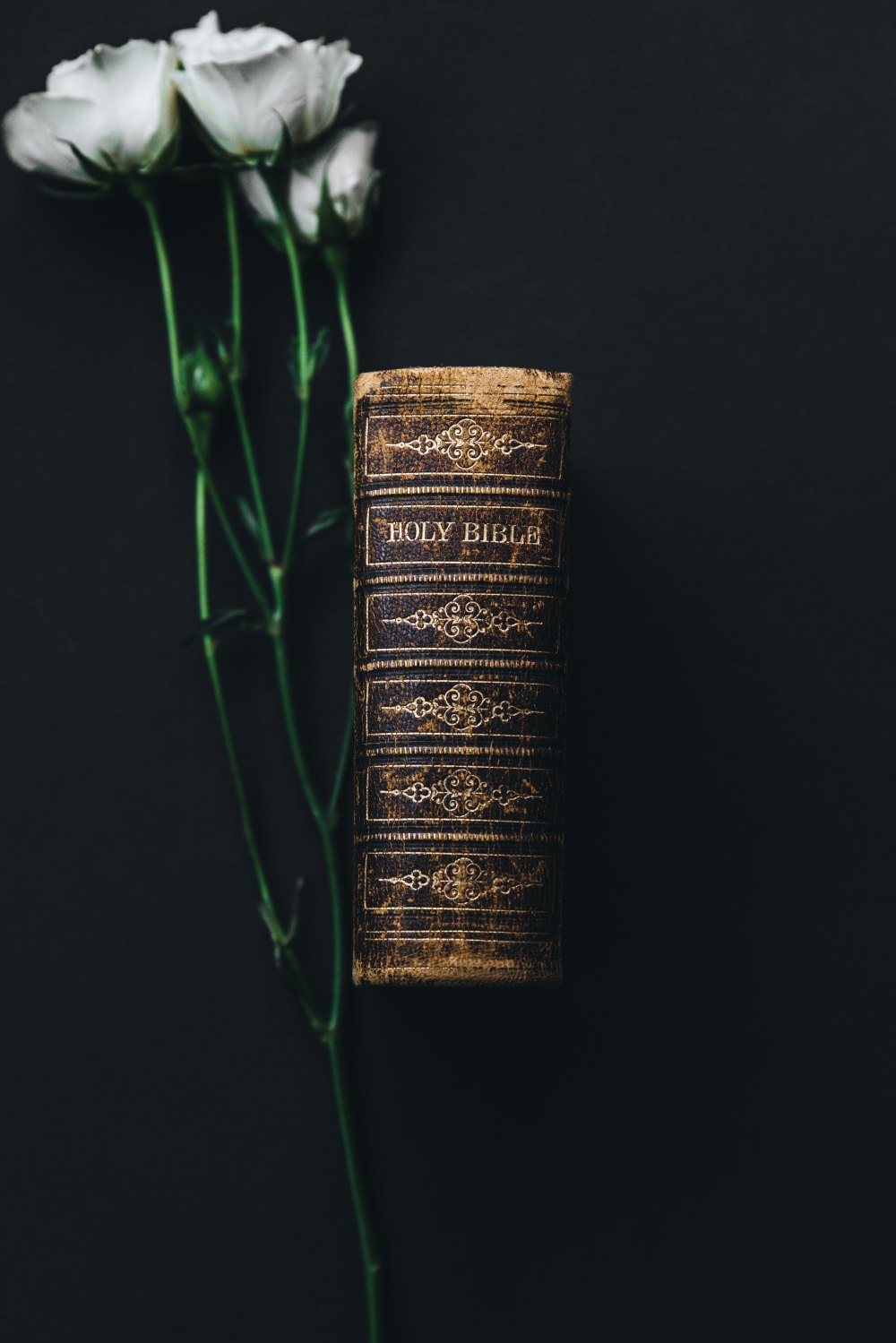 nathan-dumlao-553957-unsplash